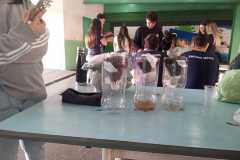 WhatsApp-Image-2025-05-22-at-08.13.32-1