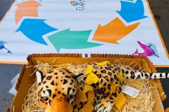 WhatsApp-Image-2025-03-21-at-11.24.49