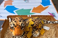 WhatsApp-Image-2025-03-21-at-17.24.19