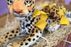 WhatsApp-Image-2025-02-20-at-10.01.45