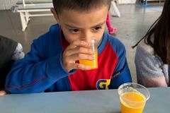 WhatsApp-Image-2025-06-13-at-15.44.04