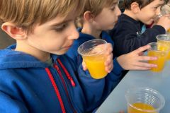 WhatsApp-Image-2025-06-13-at-15.44.06-1