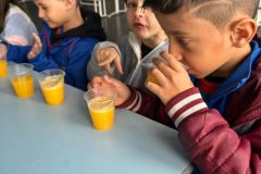 WhatsApp-Image-2025-06-13-at-15.44.07