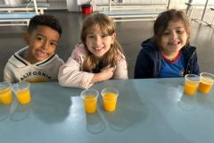 WhatsApp-Image-2025-06-13-at-15.44.08-1