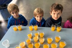 WhatsApp-Image-2025-06-13-at-15.44.10-4