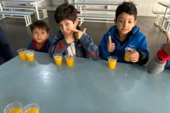 WhatsApp-Image-2025-06-13-at-15.44.10