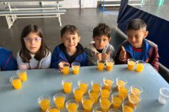 WhatsApp-Image-2025-06-13-at-15.44.11-1