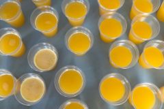 WhatsApp-Image-2025-06-13-at-15.44.11-2