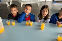 WhatsApp-Image-2025-06-13-at-15.44.11