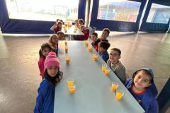 WhatsApp-Image-2025-06-13-at-16.56.45-2