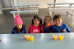 WhatsApp-Image-2025-06-13-at-16.56.45