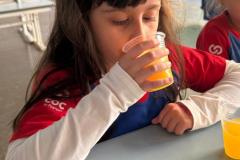 WhatsApp-Image-2025-06-13-at-16.56.46-1