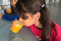 WhatsApp-Image-2025-06-13-at-16.56.47-1