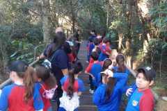 WhatsApp-Image-2025-06-23-at-16.56.40