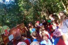 WhatsApp-Image-2025-06-23-at-16.56.44-1