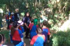 WhatsApp-Image-2025-06-23-at-16.56.49-1