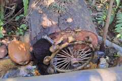 WhatsApp-Image-2025-06-23-at-16.57.19