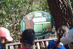 WhatsApp-Image-2025-06-23-at-16.57.21-2