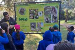 WhatsApp-Image-2025-06-23-at-16.57.43