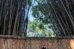 WhatsApp-Image-2025-06-23-at-16.59.43-6