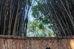 WhatsApp-Image-2025-06-23-at-16.59.43