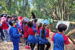 WhatsApp-Image-2025-06-23-at-16.59.44-16