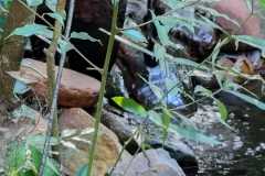 WhatsApp-Image-2025-06-23-at-16.59.44-2