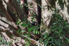 WhatsApp-Image-2025-06-23-at-16.59.44-20