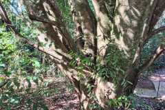 WhatsApp-Image-2025-06-23-at-16.59.44-21