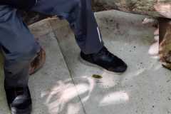 WhatsApp-Image-2025-06-23-at-16.59.44-22