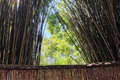 WhatsApp-Image-2025-06-23-at-16.59.44-26