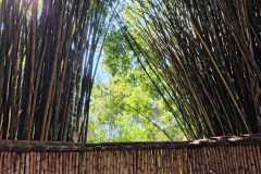 WhatsApp-Image-2025-06-23-at-16.59.44-27