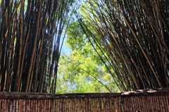 WhatsApp-Image-2025-06-23-at-16.59.44-30