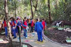 WhatsApp-Image-2025-06-23-at-16.59.44-6