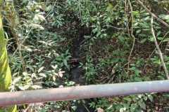 WhatsApp-Image-2025-06-23-at-16.59.45-10