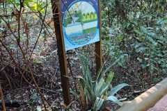 WhatsApp-Image-2025-06-23-at-16.59.45-12