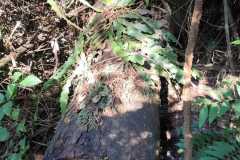 WhatsApp-Image-2025-06-23-at-16.59.45-14