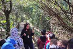 WhatsApp-Image-2025-06-23-at-16.59.45-8