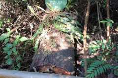 WhatsApp-Image-2025-06-23-at-16.59.45-9