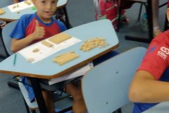 WhatsApp-Image-2025-03-31-at-14.20.20-1