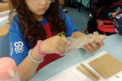 WhatsApp-Image-2025-03-31-at-14.20.24-2