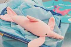 WhatsApp-Image-2025-12-16-at-14.24.08-1