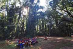 WhatsApp-Image-2025-05-14-at-14.29.18