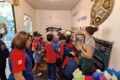 WhatsApp-Image-2025-05-14-at-14.29.23-1