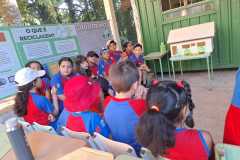 WhatsApp-Image-2025-05-14-at-14.29.26