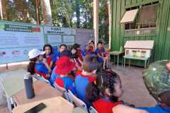 WhatsApp-Image-2025-05-14-at-14.29.27