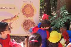 WhatsApp-Image-2025-05-14-at-14.31.26