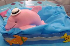 WhatsApp-Image-2025-02-14-at-17.32.12