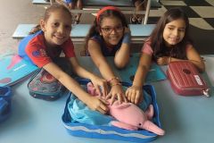 WhatsApp-Image-2025-02-14-at-17.36.27-1