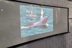 WhatsApp-Image-2025-02-14-at-17.36.30-3